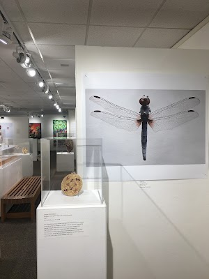 University Museum - photo 13