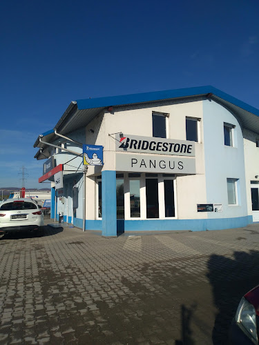 Pangus Service SRL - Service auto