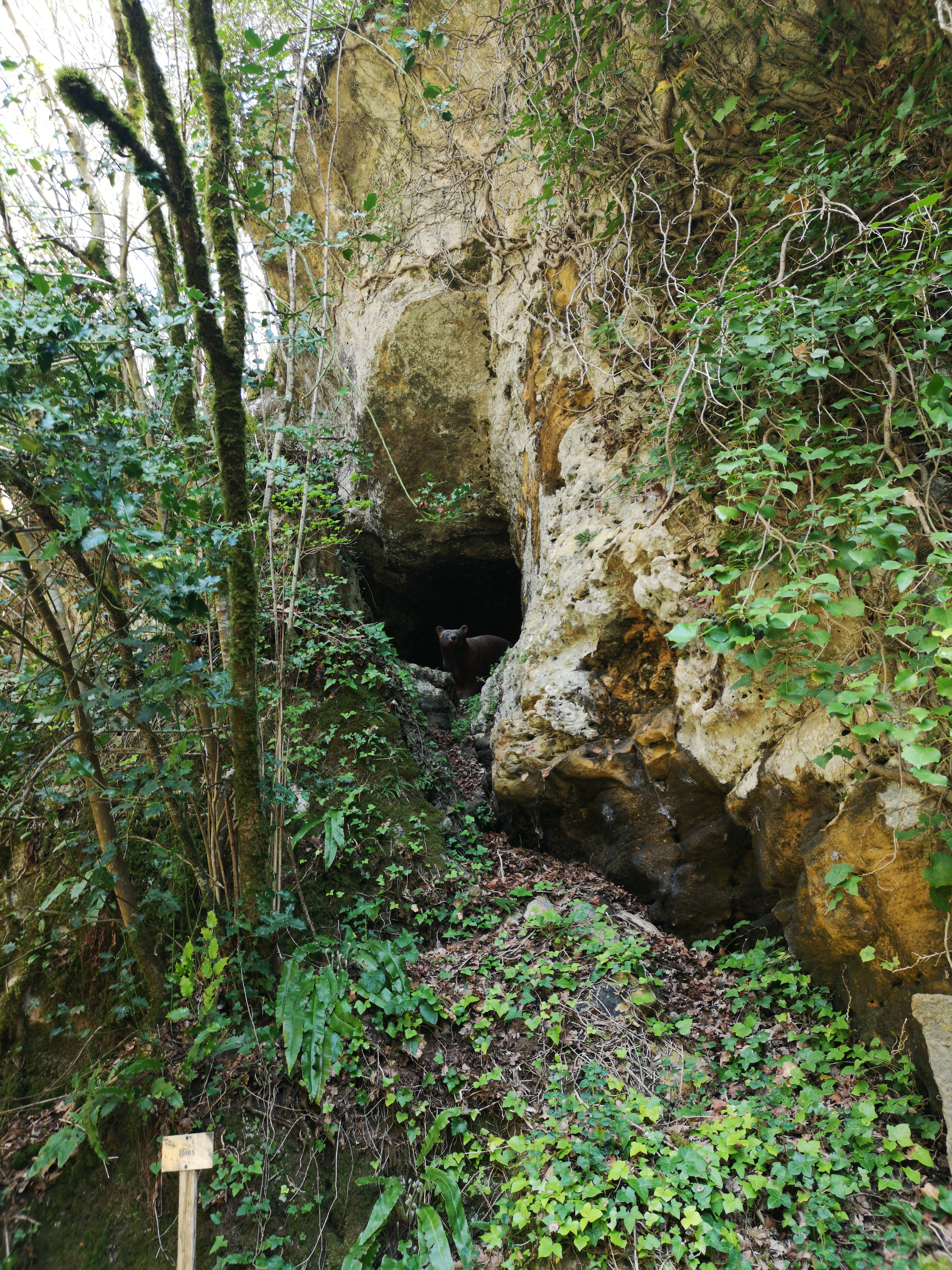 Photo n° 5 de l'avis de HAZMATIQUETTV. fait le 10/04/2019 à 19:47