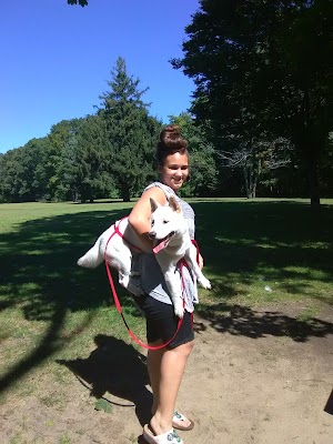 Wanskuck Park - photo 39