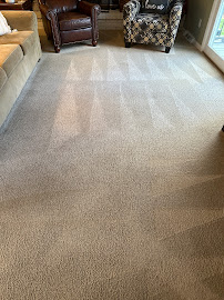 Oxi Fresh Carpet Cleaning