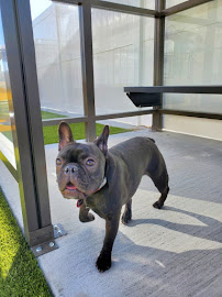 City Bark Broomfield - Photo 7 - Car repair in Broomfield, CO, Thornton