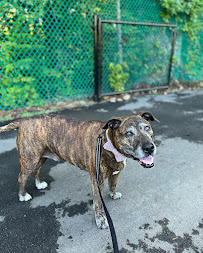 Rebel Raw - Photo 5 - Car repair in Atlanta, GA, Atlanta