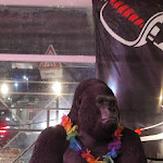 Photo n°1 de l'avis de A. fait le 26/06/2023 à 22:44 sur le  La Barreria à Pozzuoli