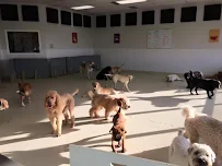 Bark Tutor School for Dogs - Car repair in Indianapolis, IN, Indianapolis - Rated 4.7/5