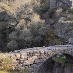 Photo n°1 de l'avis de Paulo.o fait le 19/04/2022 à 20:02 sur le  Tasquinha Castreja à Castro Laboreiro