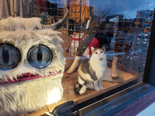 Used Clothing Store «iconoCLAD», reviews and photos, 414 300 S, Salt Lake City, UT 84111, USA