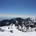 Photo n°1 de l'avis de Takács.s fait le 24/02/2018 à 15:22 sur le  Wild Deer à Mareson-Pecol