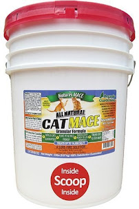 Nature's Mace - Photo 8 - Car repair in , Scranton