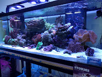 Frank's Tanks - Photo 3 - Car repair in Fort Worth, TX, Fort Worth