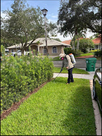 Armando pileta lansdcaping and Pest control - Photo 3 - Car repair in , Miami