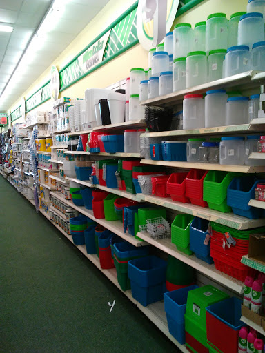 Dollar Store «Dollar Tree», reviews and photos, 2700 E Eldorado Pkwy #200, Little Elm, TX 75068, USA