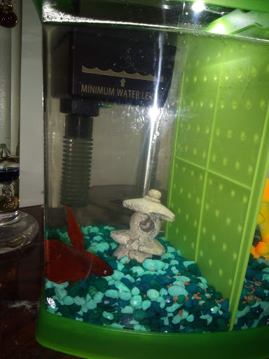 Pet Supply Store «PetSmart», reviews and photos, 7225 Bell Creek Rd Ste 228, Mechanicsville, VA 23111, USA