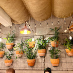 Photo n°4 de l'avis de Viajero.o fait le 11/01/2024 à 10:33 sur le  Pizzeria Bella Mia! à Porto