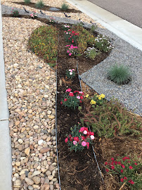 All Budget Landscaping - Photo 5 - Car repair in Aurora, CO, Denver