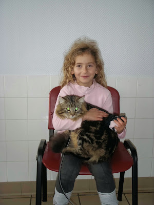 Clinique Veterinaire Des Deux Caps à Marquise