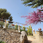 Photo n°10 de l'avis de Kareen.a fait le 16/04/2024 à 16:06 sur le  Ristorante Pizzeria Il Castello à Novara di Sicilia