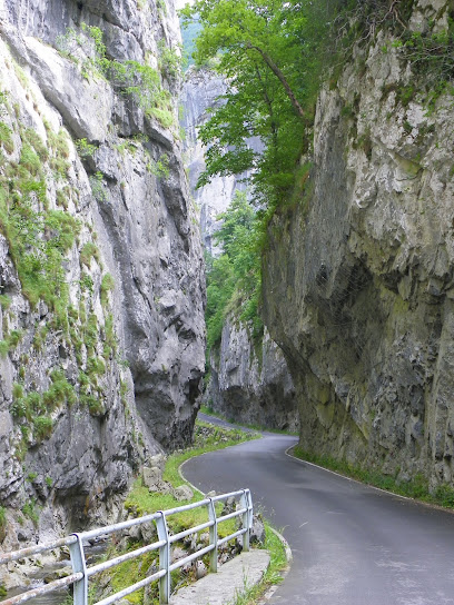 Río - Río Aller - Allande