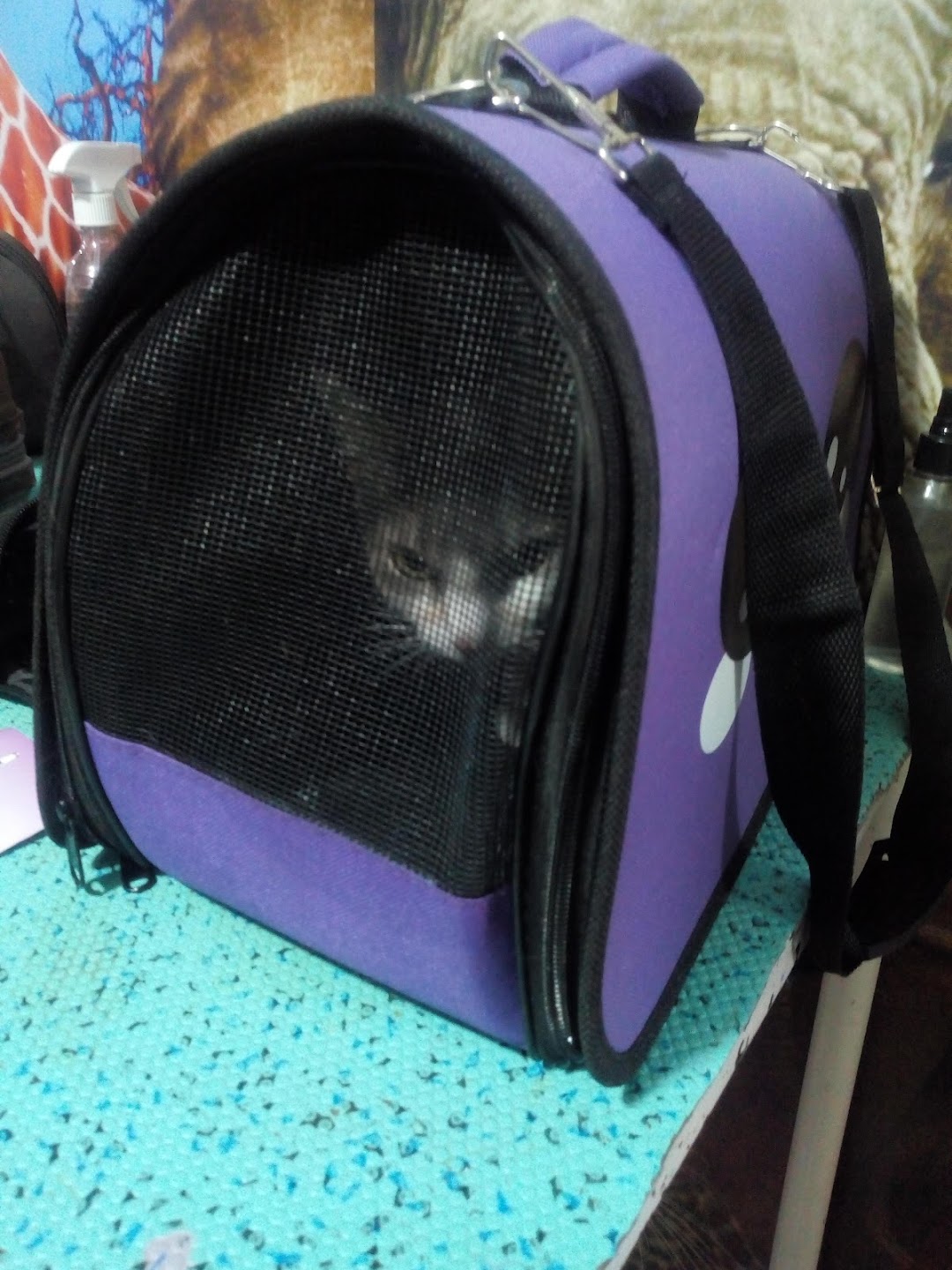 Veterina Agromascotas