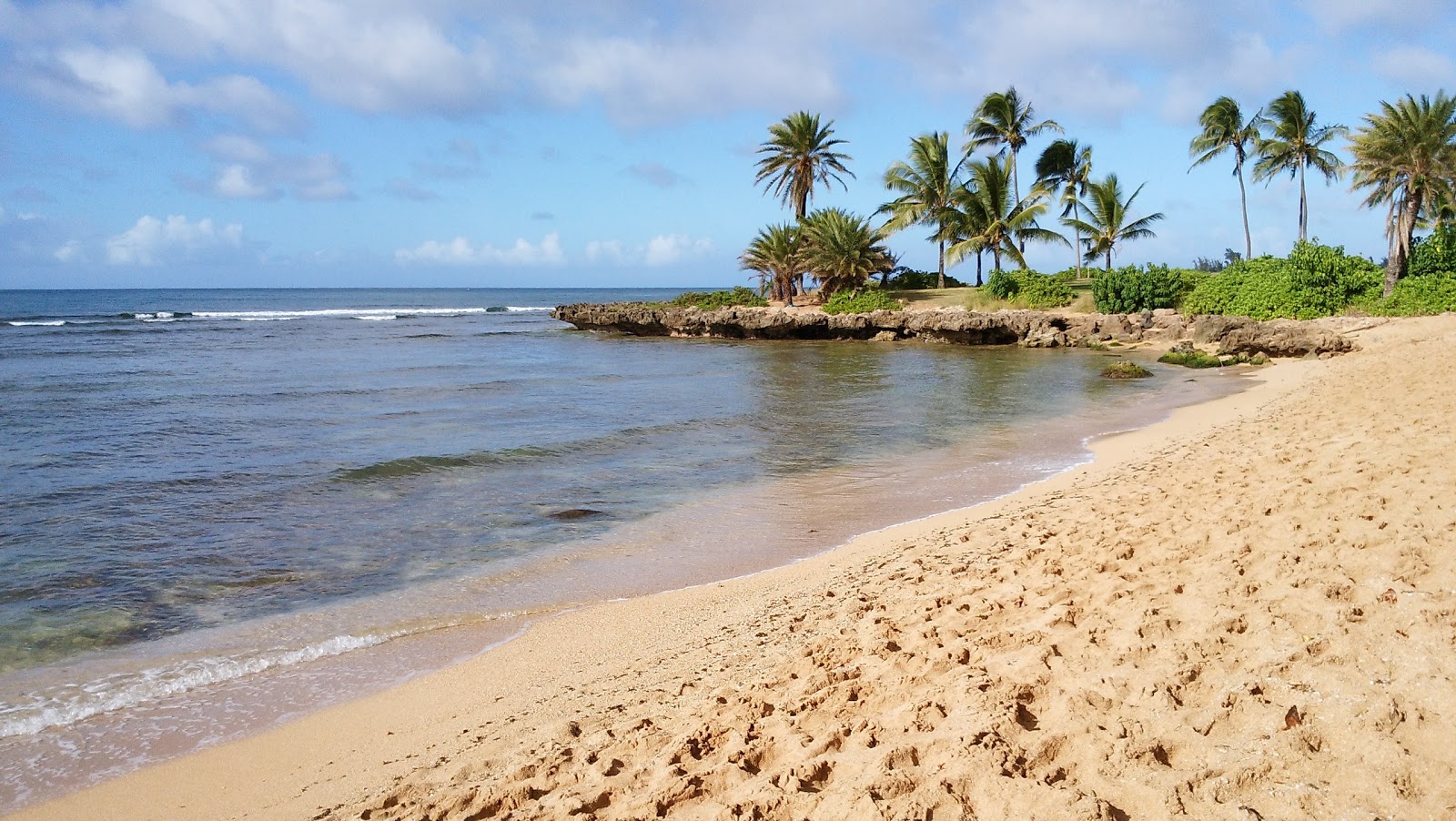 Hale'iwa Beach photo #8
