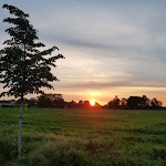 Photo n°3 de l'avis de Detlef.t fait le 27/05/2019 à 07:23 sur le  Schloss Kartzow à Potsdam