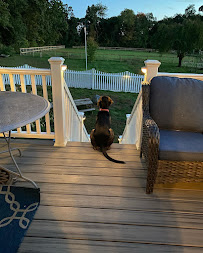 Lindenau Farm - Photo 3 - Car repair in Somers, CT, Springfield