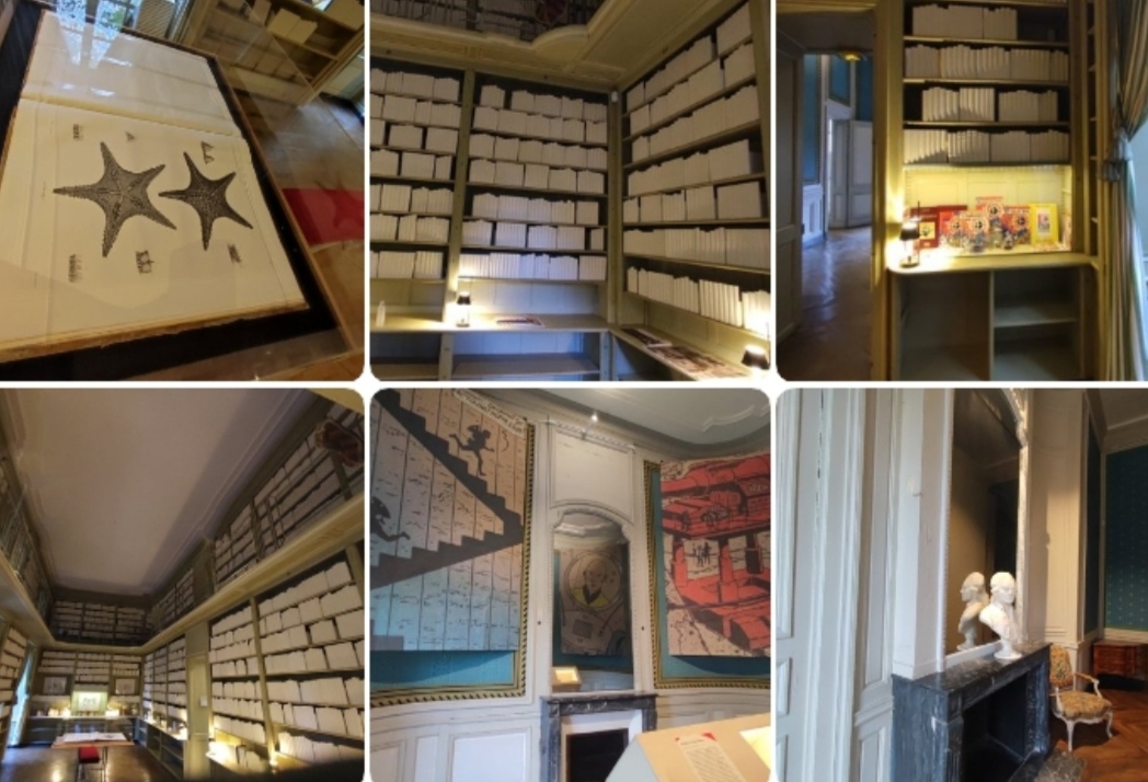 Photo n° 25 de l'avis de Laure.u fait le 19/12/2023 à 00:36