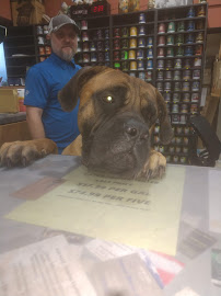 Pinellas Paint & Industrial Finishes, Inc. - Photo 3 - Car repair in Pinellas Park, FL, St. Petersburg