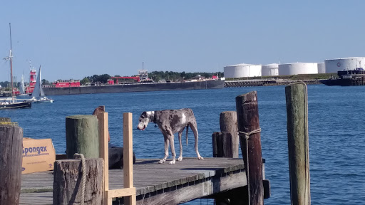 Tour Agency «Portland Discovery Land and Sea Tours», reviews and photos, 170 Commercial St, Portland, ME 04101, USA