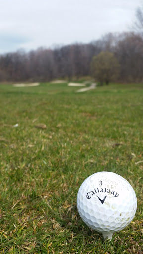 Golf Driving Range «Painesville Country Club», reviews and photos, 84 Golf Dr, Painesville, OH 44077, USA
