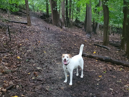 Park «Fort Circle Park», reviews and photos, Minnesota Ave SE, Washington, DC 20019, USA