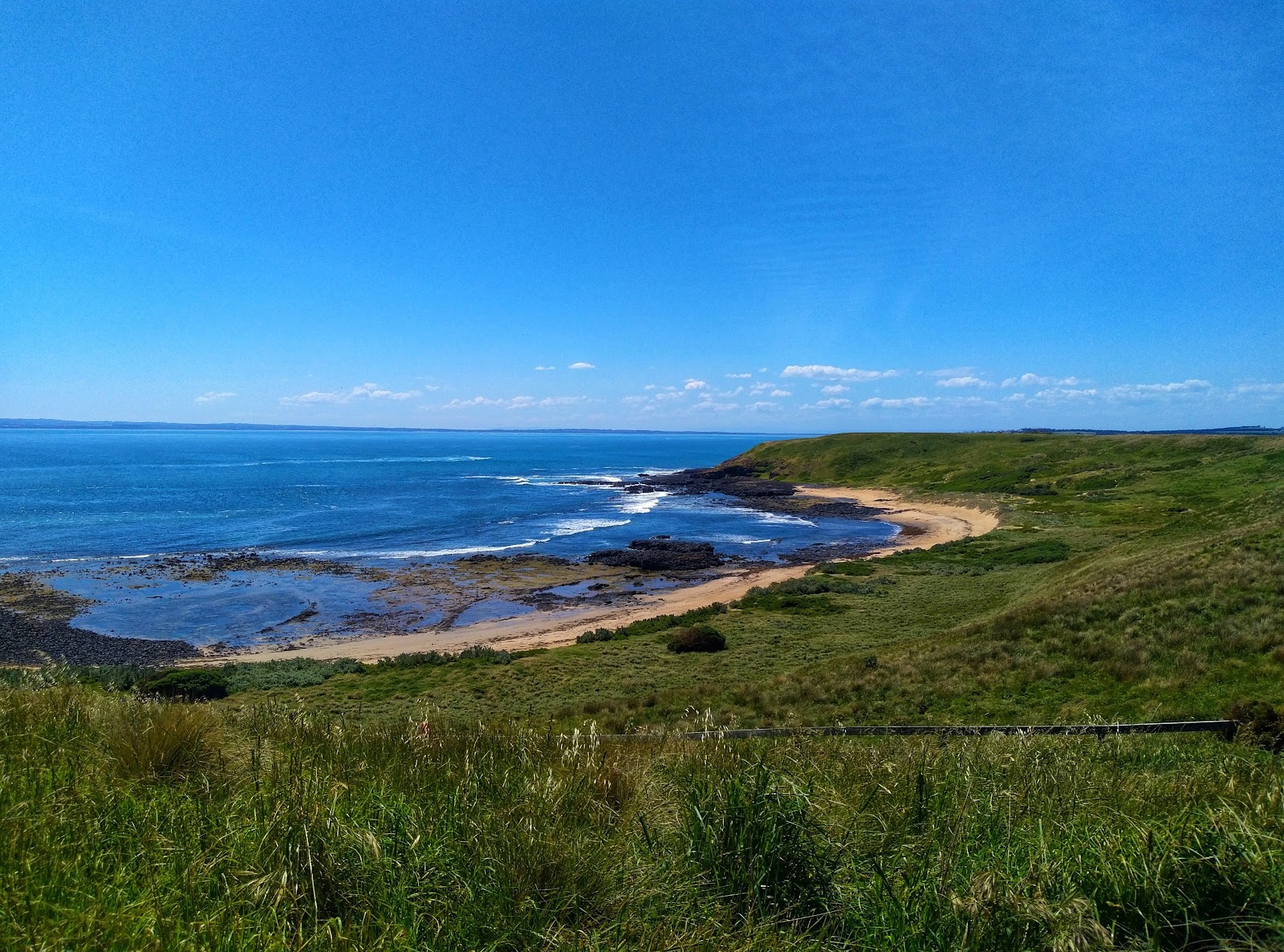 Cowrie Beach'in fotoğrafı vahşi alan