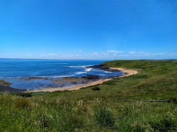 Cowrie Beach'in fotoğrafı vahşi alan