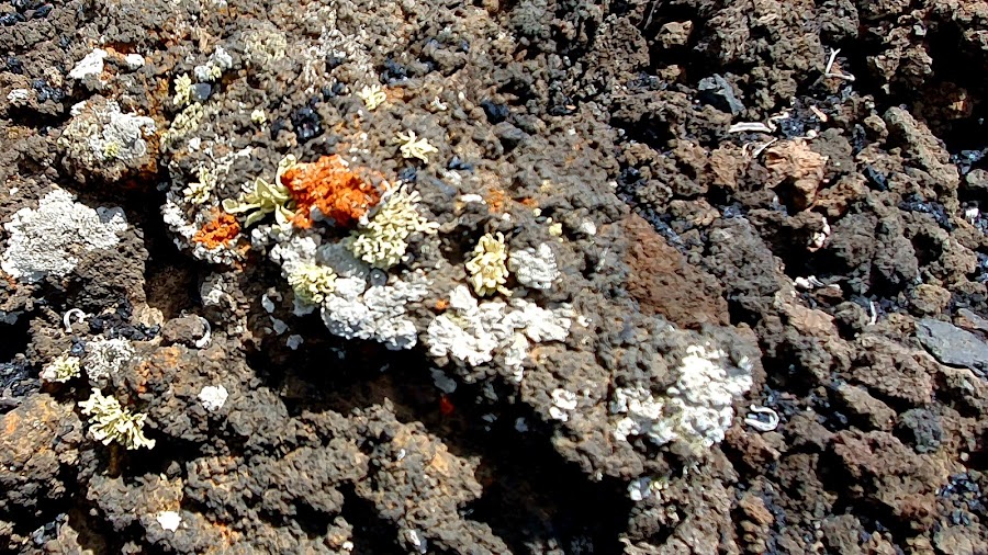 Volcán de Teneguía