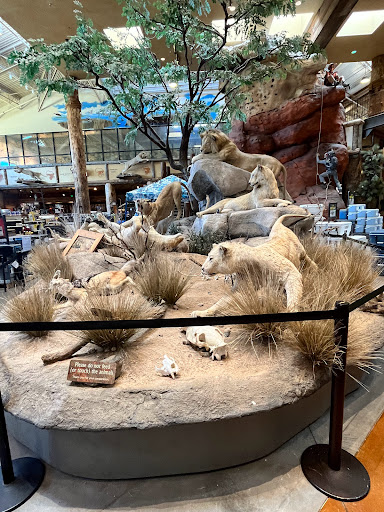 Sporting Goods Store «Bass Pro Shops», reviews and photos, 8200 Dean Martin Dr, Las Vegas, NV 89139, USA