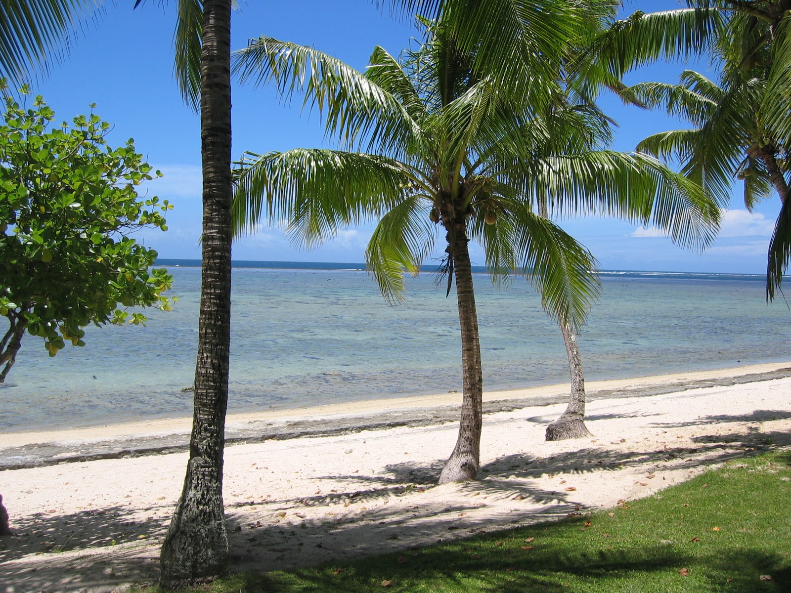 Photo de Cuvu Beach avec baie longue