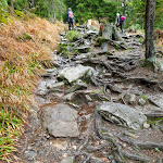 Photo n°2 de l'avis de Ingo.u fait le 11/10/2020 à 11:00 sur le  Eisensteiner Hütte à Bayerisch Eisenstein