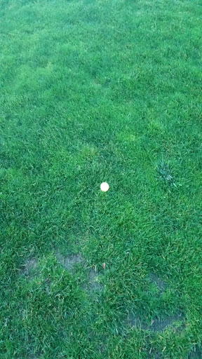 Country Club «Shadow Hills Country Club», reviews and photos, 92512 River Rd, Junction City, OR 97448, USA