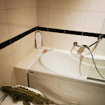 Photo n°2 de l'avis de diego.i fait le 29/08/2022 à 21:44 sur le  AS Hotel Motel Cambiago à Cambiago