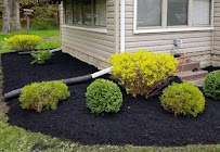 Williams lawn Care Services - Photo 3 - Car repair in , Youngstown