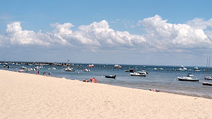 Photo n°86 de Chez Joël à Lège-Cap-Ferret ()