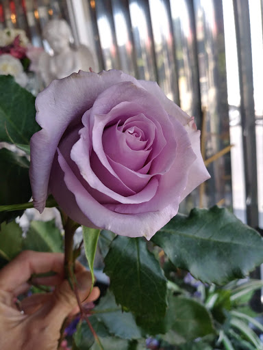 Florist «Eagledale Florist», reviews and photos, 3615 W 30th St, Indianapolis, IN 46222, USA