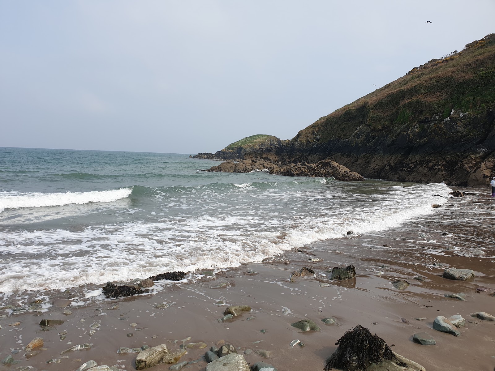 Photo de Helvick Bay Beach avec un niveau de propreté de très propre