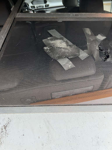 Hardware Store «Ace Hardware Palm Harbor», reviews and photos, 35125 US Hwy 19 N, Palm Harbor, FL 34684, USA