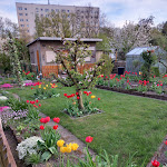 Photo n°1 de l'avis de Terminator.L fait le 23/04/2024 à 23:26 sur le  Gaststätte Am Frischborn à Chemnitz