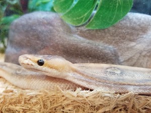 Petco - photo 93
