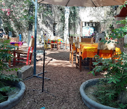 La Villa Feliz photo