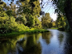 Five Mile Recreation Area - photo 74