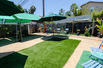 Doggywood Dog Training - Photo 3 - Car repair in Encinitas, CA, Carlsbad