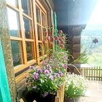 Photo n°2 de l'avis de Yenny.e fait le 25/04/2022 à 14:57 sur le  Blockhütte à Baiersbronn